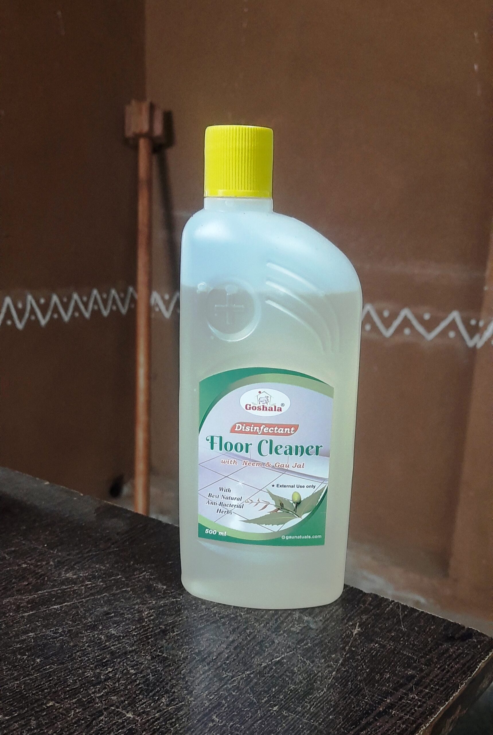 PG Floor Cleaner