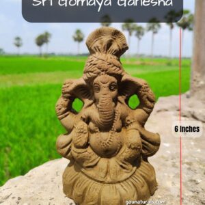 Gomaya Ganesha