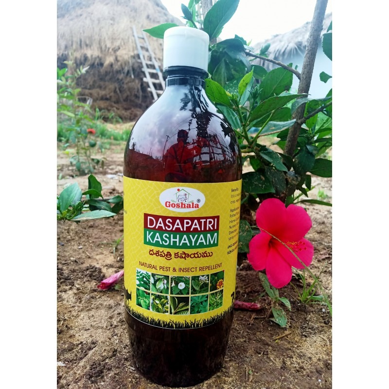 Dasapatra Kashayam