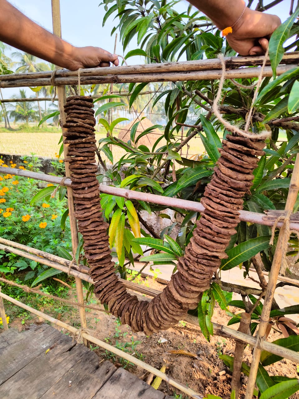 BhogiPidakalu