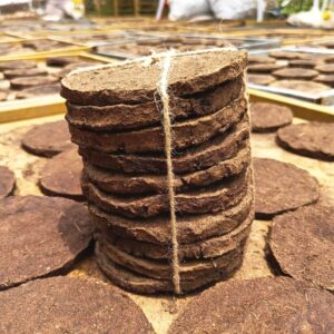 Desi Cow Dung Cakes (Gobar Khand Pidakalu)
