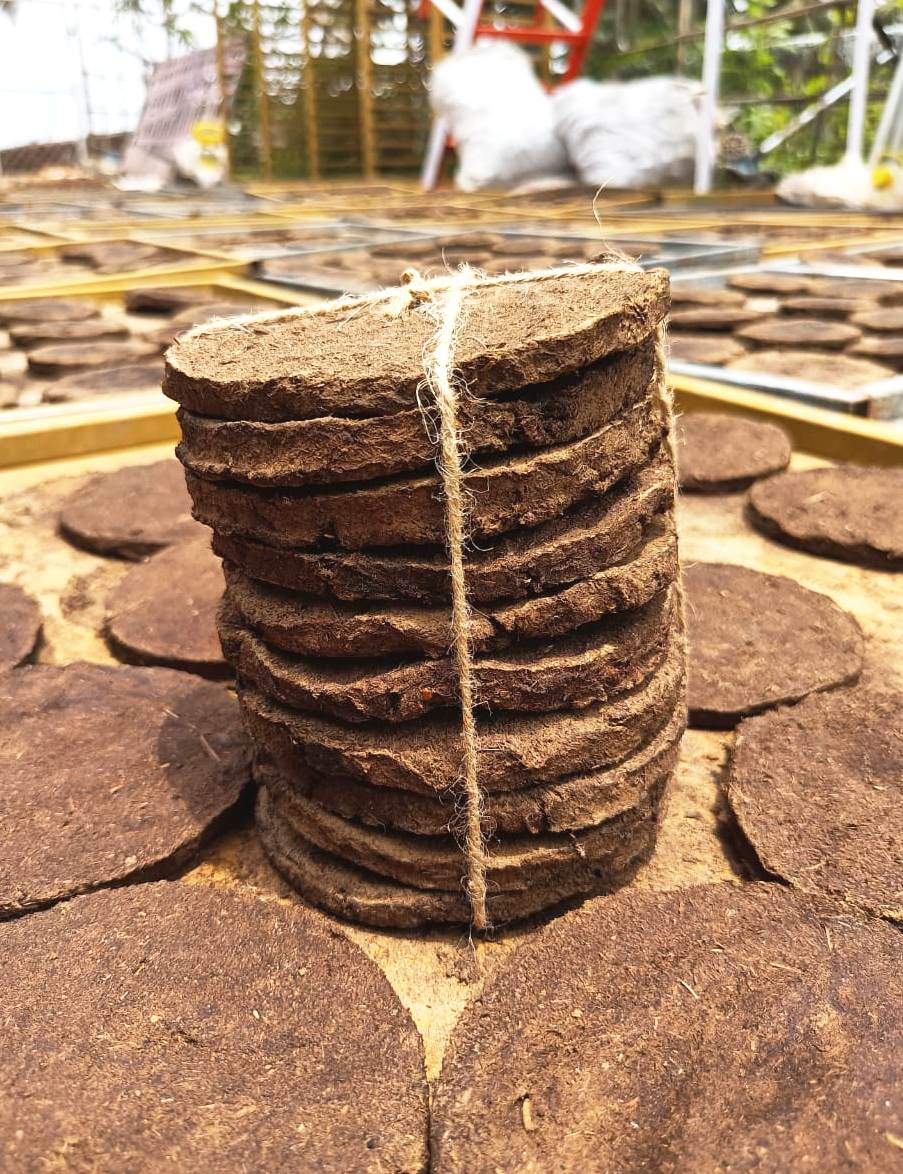 Desi Cow Dung Cakes (Gobar Khand Pidakalu)