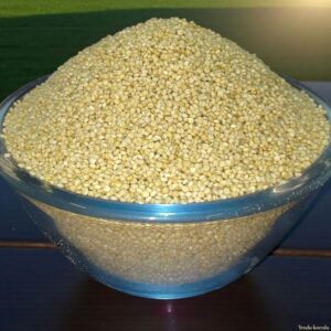 Andu Korralu(Browntop Millet) 500G