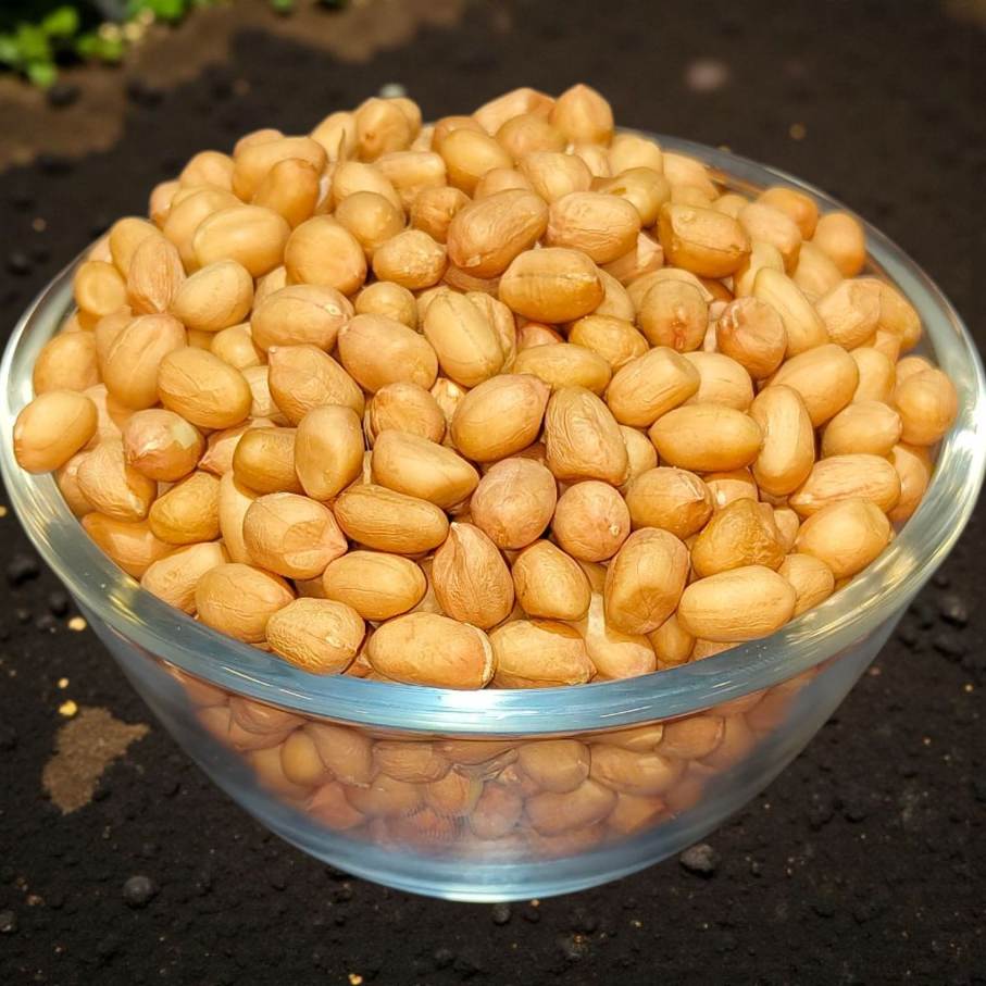 Ground Nut 500G