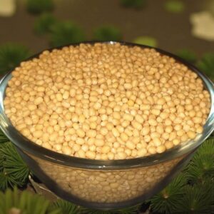 Minapa Gullu(Urad Whole White) (500G,1KG)