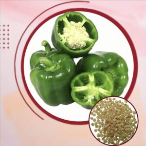 Green Capsicum Seeds