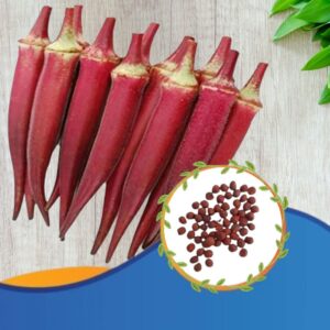 Red Ladies Finger(Erra Bendakaya) Seeds