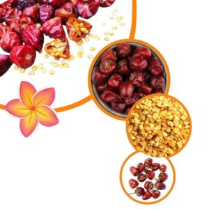 Sambar Red Chilli Seeds