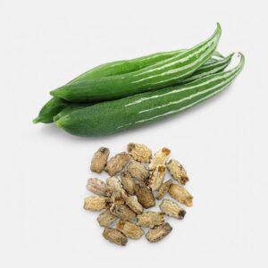 Snake Guard(Potlakaya) Seeds