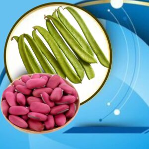 Sword Beans(Thammakaya/Sammakaya) Seeds